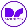 DAVIDCELESTIN.COM
